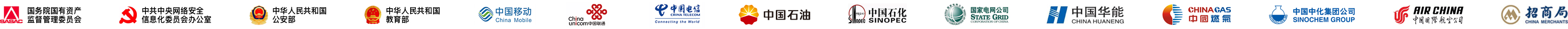 合作伙伴 Logo 2